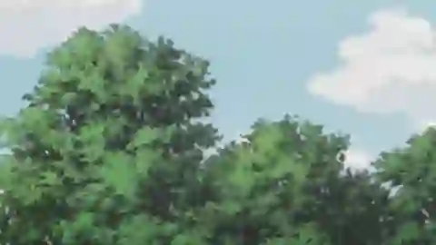 Witch Watch Episodio 19