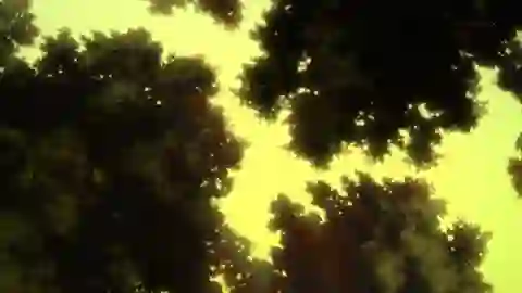 Yozakura Quartet: Hana no Uta Episodio 9