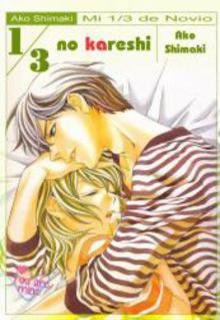 Portada de 1 3 No Kareshi