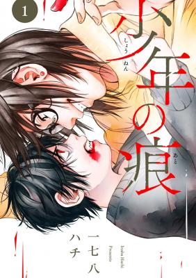 Portada de A Boy S Scar