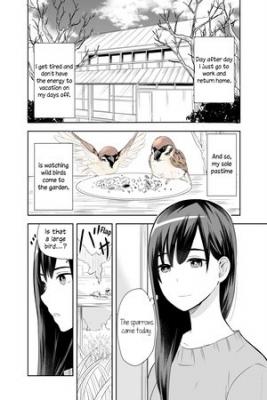 Portada de A Cute Bird Comes To An Office Lady Who Is Tired And Healed By Birdwatching