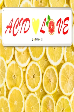 Portada de Acid Love