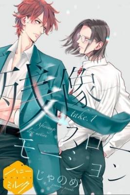 Portada de Afterimage Low Motion