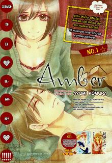 Portada de Amber