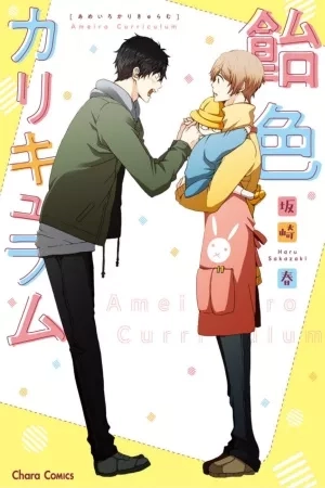 Portada de Ameiro Curriculum