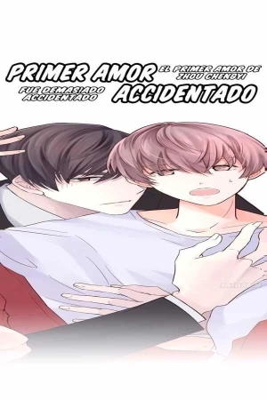 Portada de Amor accidentado