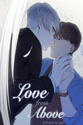 Portada de Amor Desde Arriba