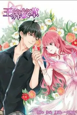 Portada de Amor en Noah