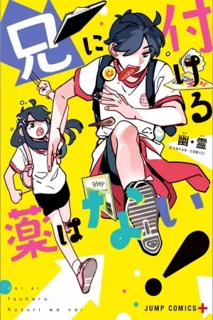 Portada de Ani ni Tsukeru Kusuri wa Nai!