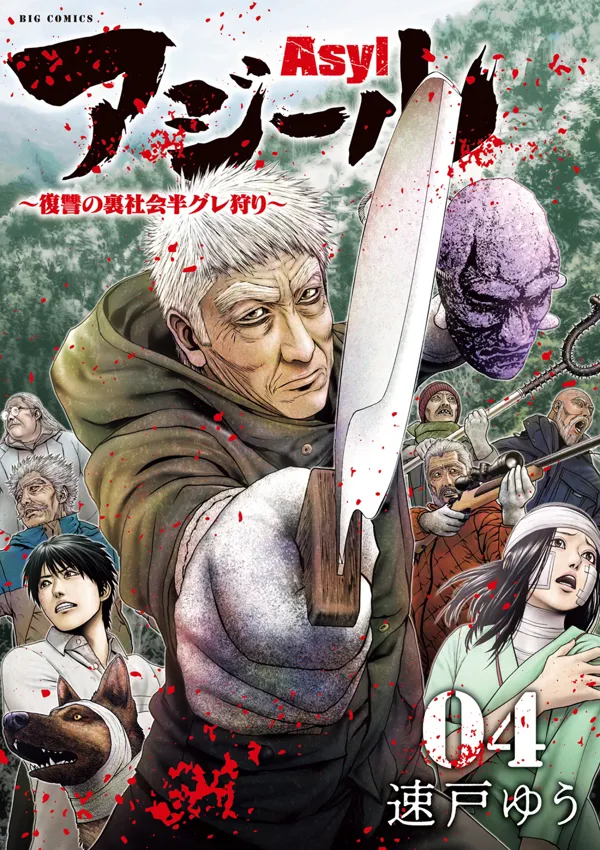 Portada de Asyl