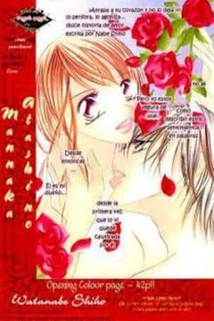 Portada de Atashi No Mannaka