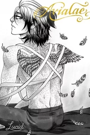 Portada de Avialae (El chico Pájaro)