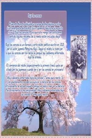 Portada de Bajo los cerezos