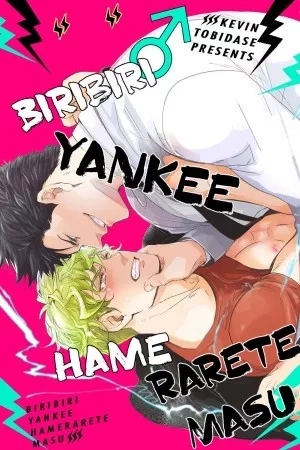Portada de Biribiri Yankee Hameraretemasu
