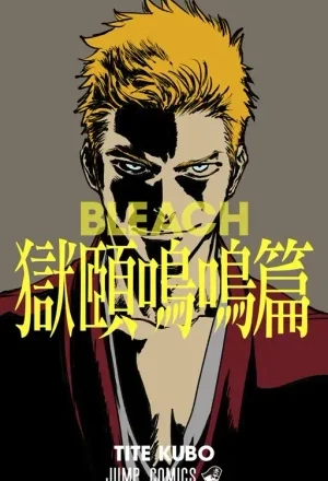 Portada de Bleach - Gokui Meimei-Hen