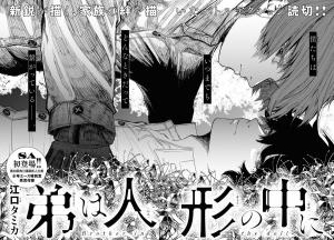 Portada de Brother In The Doll
