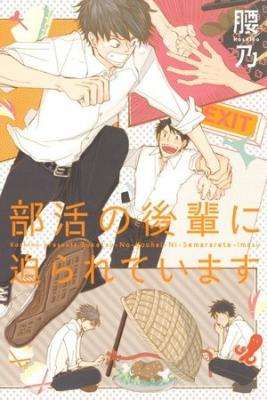 Portada de Bukatsu No Kouhai Ni Semarareteimasu