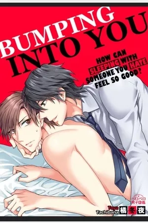 Portada de bumping into you