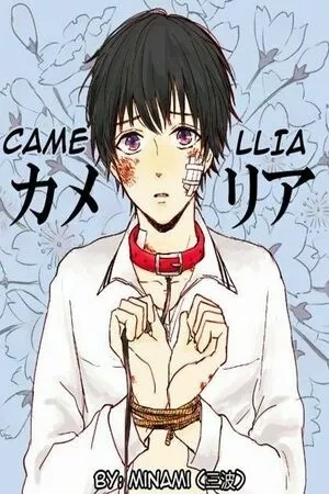 Portada de Camellia