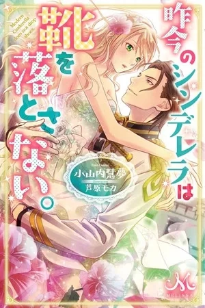 Portada de Cinderella Did Not Leave Her Shoe