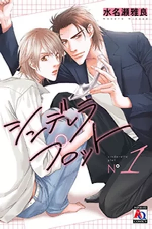 Portada de Cinderella plot