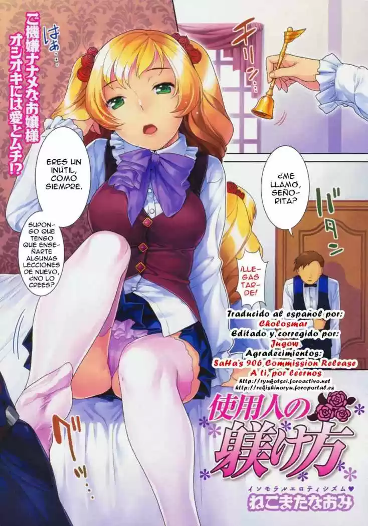 Portada de Como Castigar A Un Sirviente Naomi Nekomataya