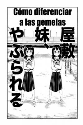 Portada de Como Diferenciar A Las Gemelas