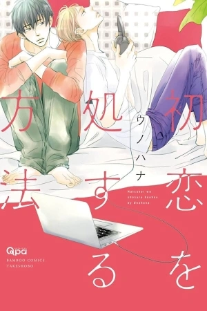 Portada de Cómo manejar el primer amor