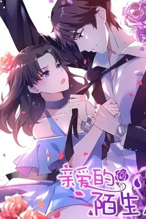 Portada de Dear stranger