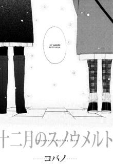 Portada de December S Melting Snow
