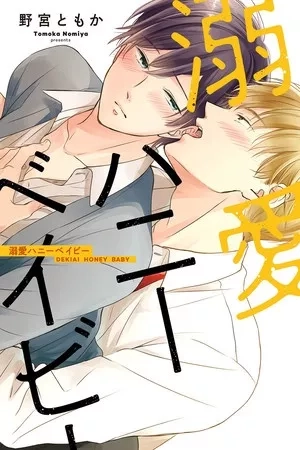 Portada de Dekiai Honey Baby