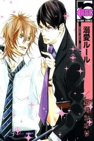 Portada de Dekiai Rule