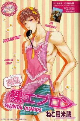 Portada de Delantal Desnudo De Mousou Elektel Delusion