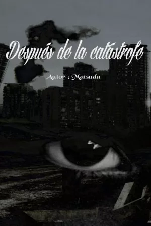 Portada de Después De La Catástrofe