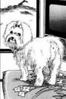 Portada de Diario Del Perro De Junji Ito