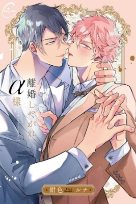 Portada de Divorce Me Mr Alpha
