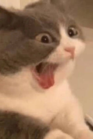 Portada de Domandote