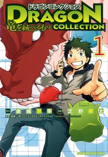 Portada de Dragon Collection Ryuu Wo Suberumono