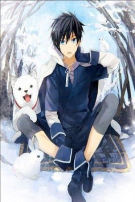 Portada de Dragon King S Son In Law