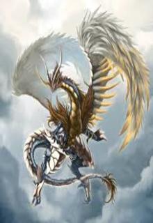 Portada de Dragon Life