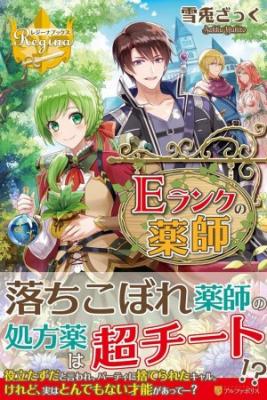 Portada de E Rank Healer