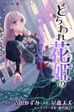 Portada de El feliz error de la princesa cautiva de las flores