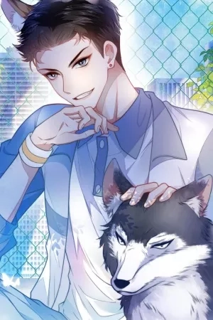 Portada de El gatito salvaje del estudiante distinguido es demasiado sensual