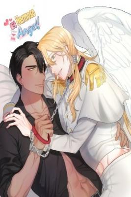 Portada de El Hermoso Angel