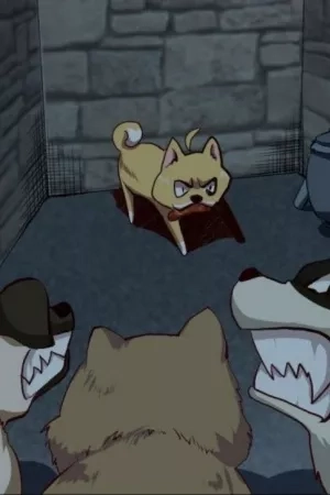 Portada de El renacimiento de un perro.