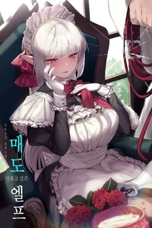 Portada de elf who likes to be humiliated