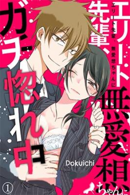 Portada de Elite Senpai Buaiso Chan Ni Gachihorechuu