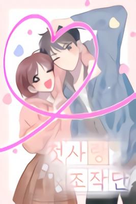 Portada de Equipo De Operacion Primer Amor