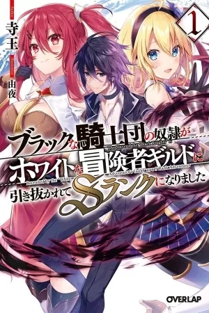 Portada de Esclavo de la orden de los caballeros