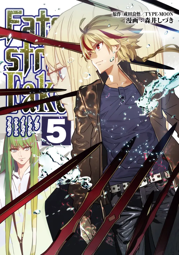 Portada de Fate Strange Fake